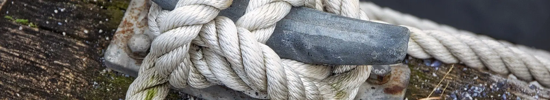 MCN – das Netzwerk für die maritime Branche